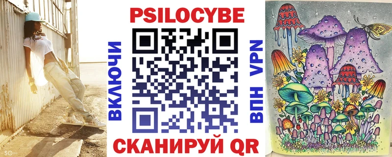 Купить закладки  Новотитаровская  Галлюциногенные грибы GOLDEN TEACHER 